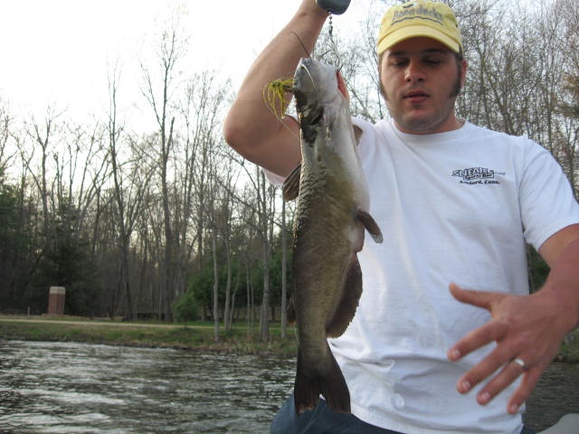 bullhead caught on a jig!!!