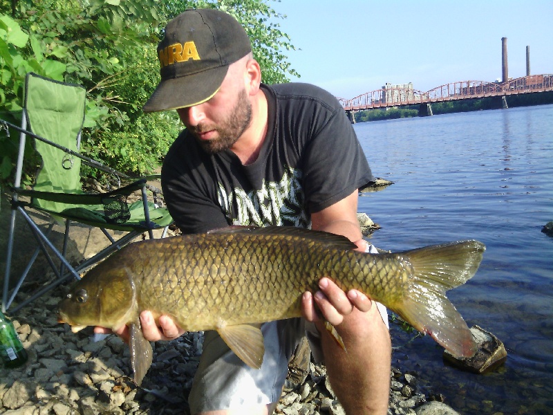 11 pound common carp 2012