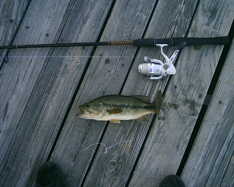 5/29/08 - Lake Cochtituate Boat Ramp