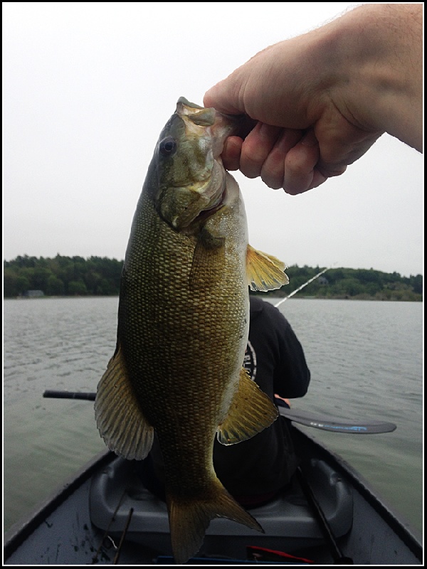 First Smallie of the year