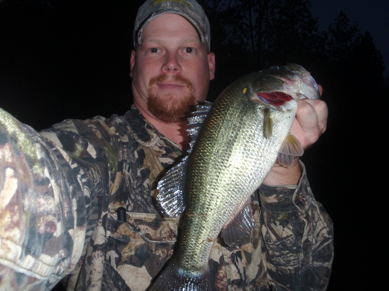 Evening Bass On A Buzzbait