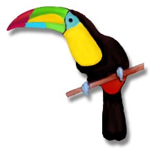 toucans88