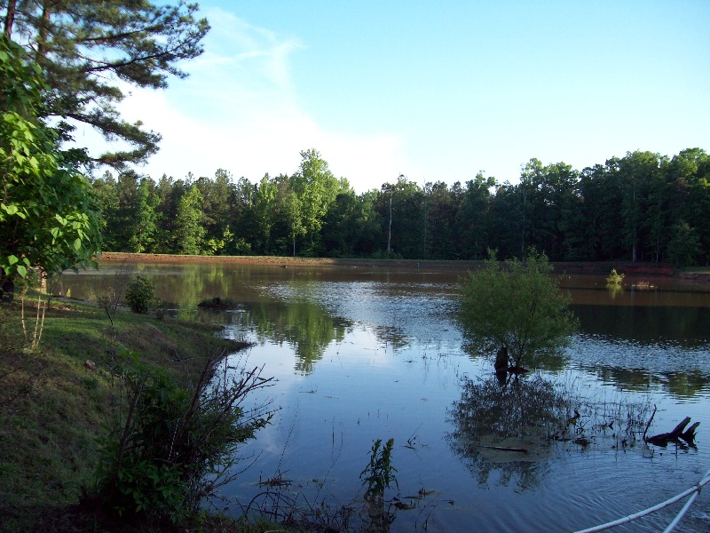 Dad's Lake